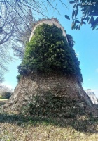 www.chateauxfaure-et-faureteresses.com_bethemont_Yvelines.jpg