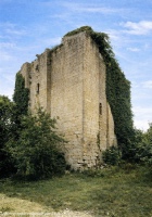 www.chateauxfaure-et-faureteresses.com_islot(l)_saint-sulpice-d'arnoult_02-2.jpg