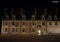 www.chateauxfaure-et-faureteresses.com04_blois_loir-et-cher.jpg