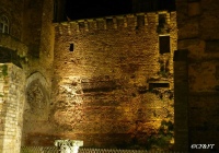 www.chateauxfaure-et-faureteresses.com16_le_mans_sarthe.JPG