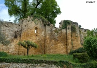 www.chateauxfaure-et-faureteresses.com_salignac_02.JPG