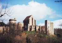 www.chateauxfaure-et-faureteresses.com_chevreuse_yvelines.jpg